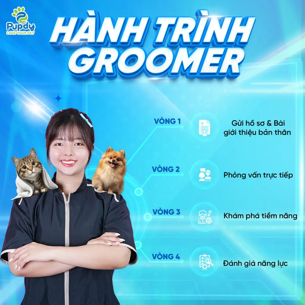 Be a Groomer Pupdy 2