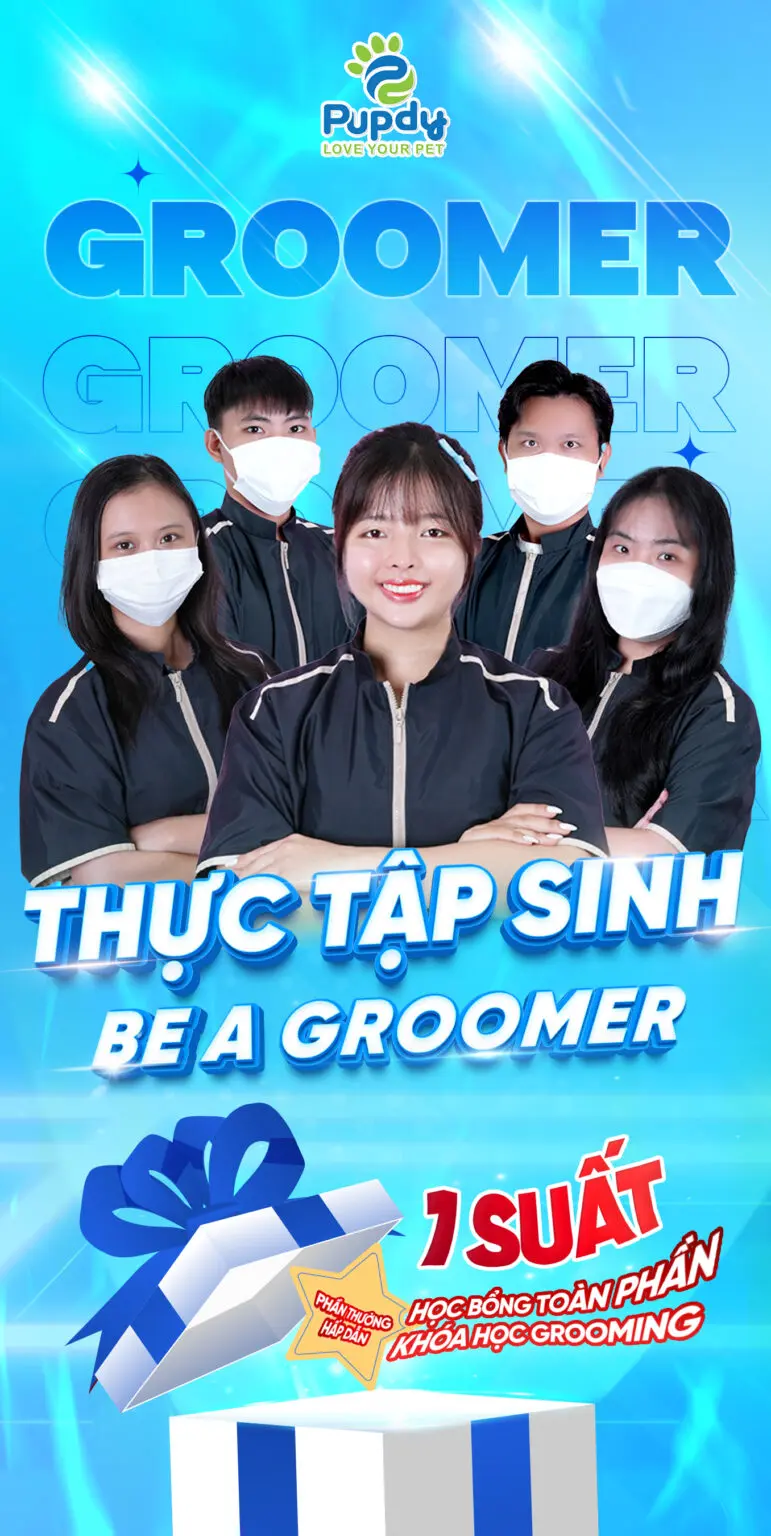 Be a Groomer Pupdy 1