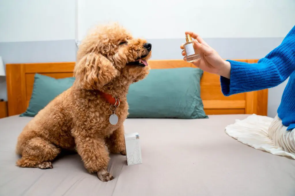 Pupdy Pet Cosmetics