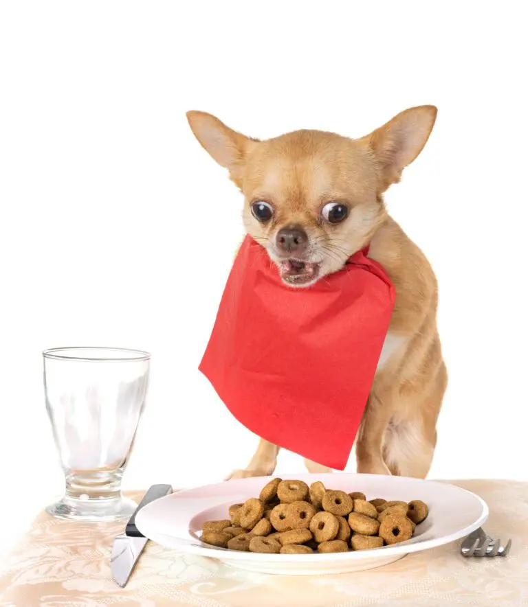 các loại thức ăn phổ biến