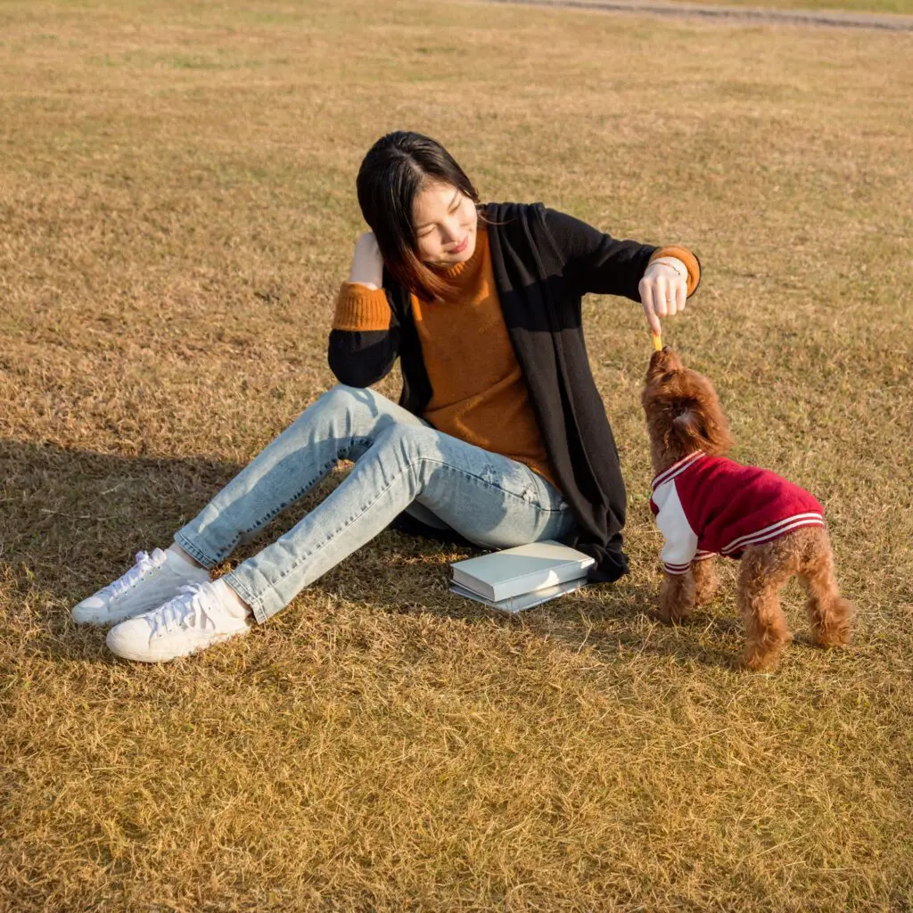 Đồ ăn sấy khô Gummie Treats là sản phẩm không thể bỏ lỡ