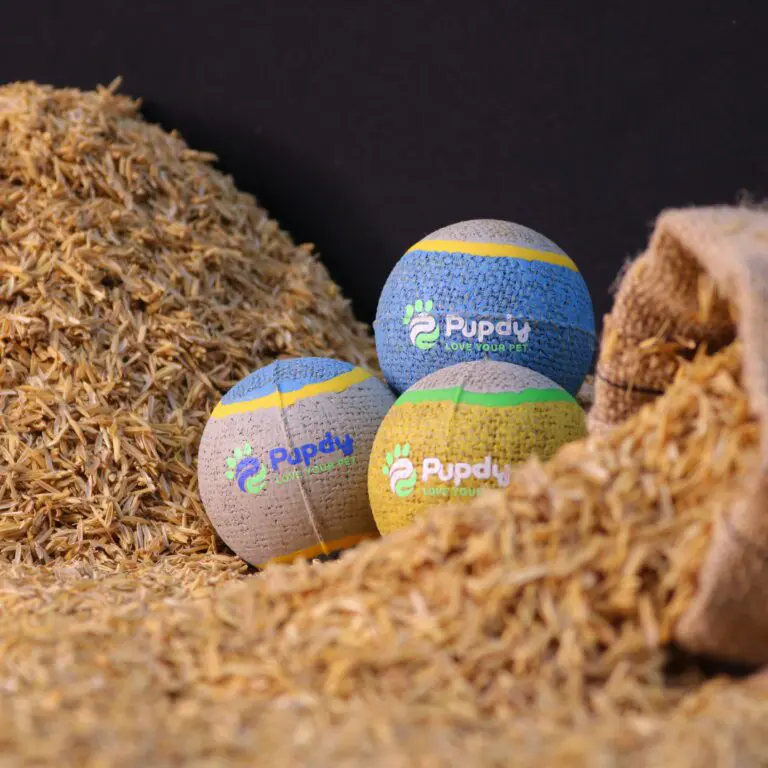 Đồ chơi bảo vệ môi trường