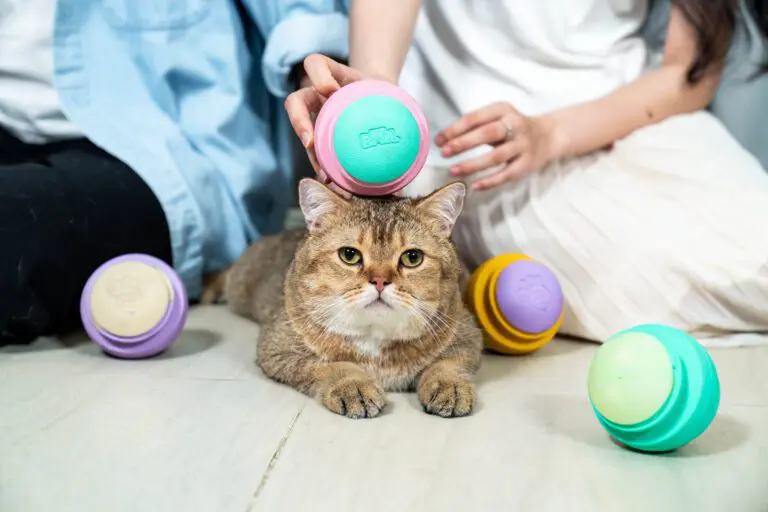 Đồ chơi thông minh cho thú cưng