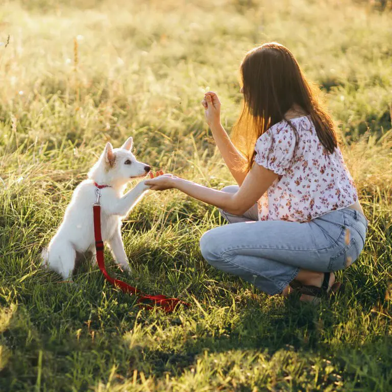 Human Grade tiêu chuẩn thức ăn cho người áp dụng trên sản phẩm dành cho thú cưng