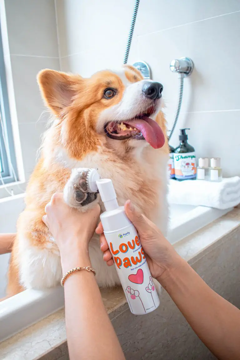 Lợi ích lâu dài khi sử dụng mỹ phẩm thú cưng Pupdy