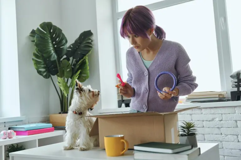 Lựa chọn đồ chơi phù hợp với tính cách thú cưng