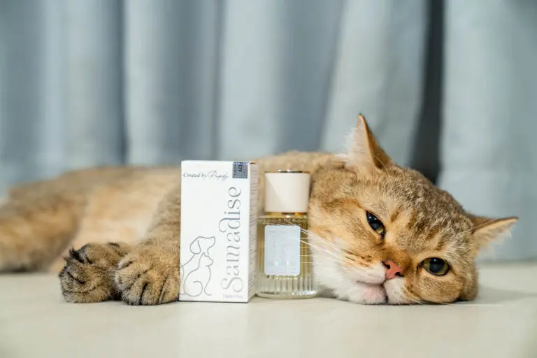 Sản phẩm nước hao thú cưng Samadise với bé thú cưng