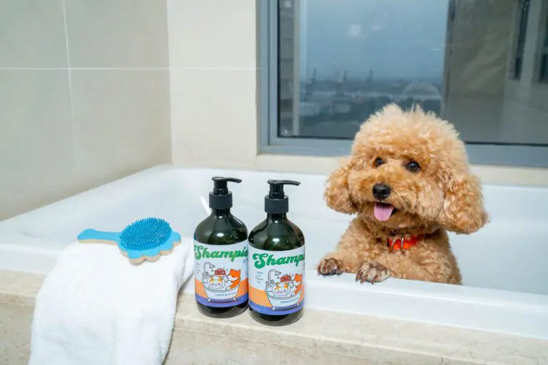 Sữa tắm chăm sóc thú cưng