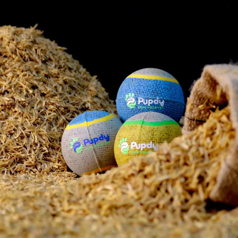 Tái sinh từ những nguyên liệu đã bị lãng quên