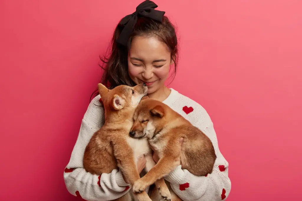 tình yêu vô điền kiện câu chuyện về mối quan hệ giữa chủ và thú cưng