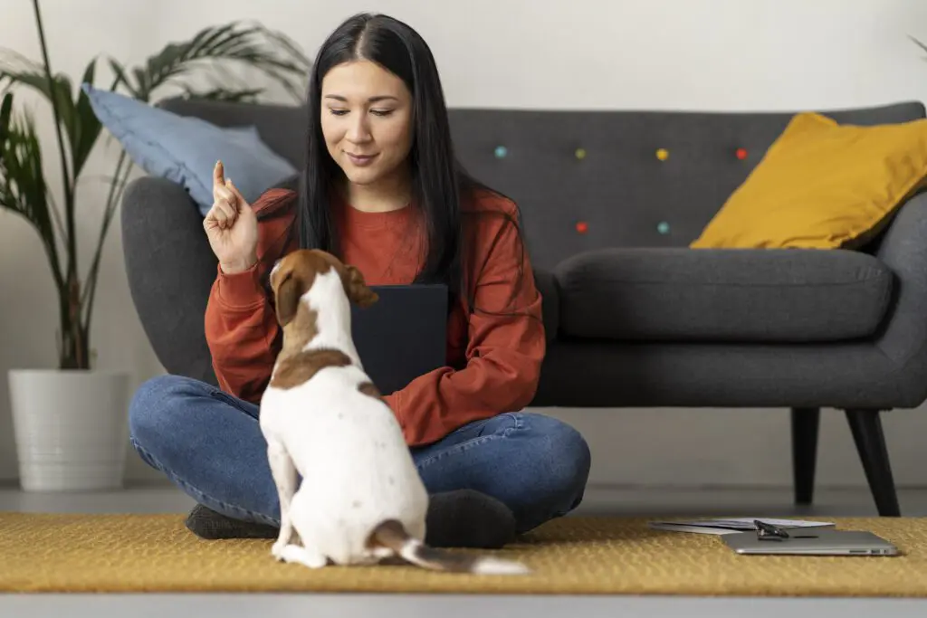 dạy cho chó mèo biết thực hiện các mệnh lệnh cơ bản