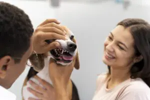 chăm sóc răng miệng thú cưng