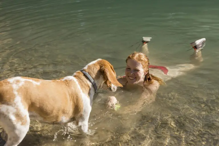 cham-soc-thu-cung-vao-mua-he