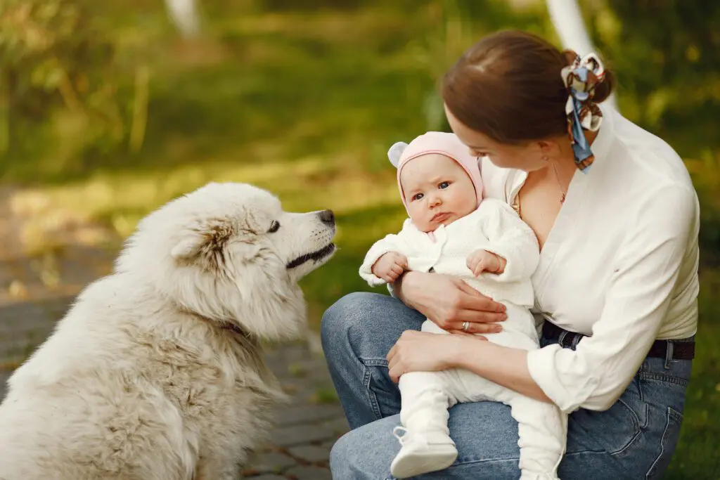 hành trình lớn lên cùng thú cưng