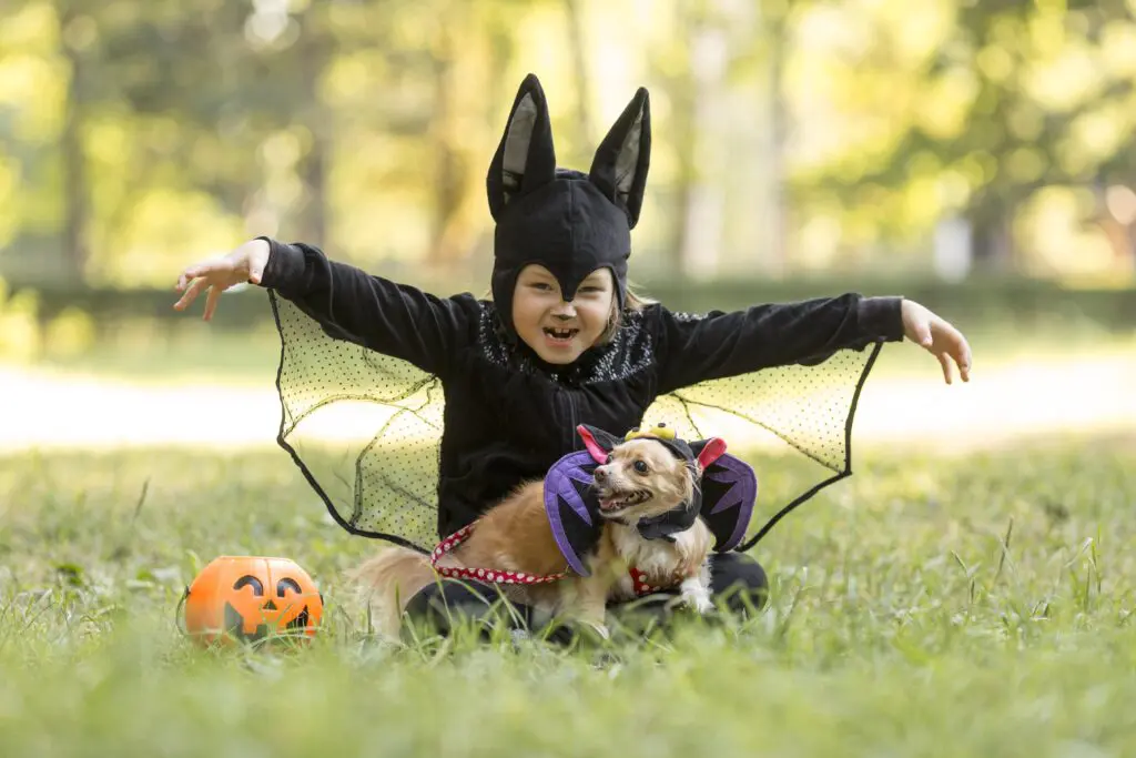halloween cho thú cưng