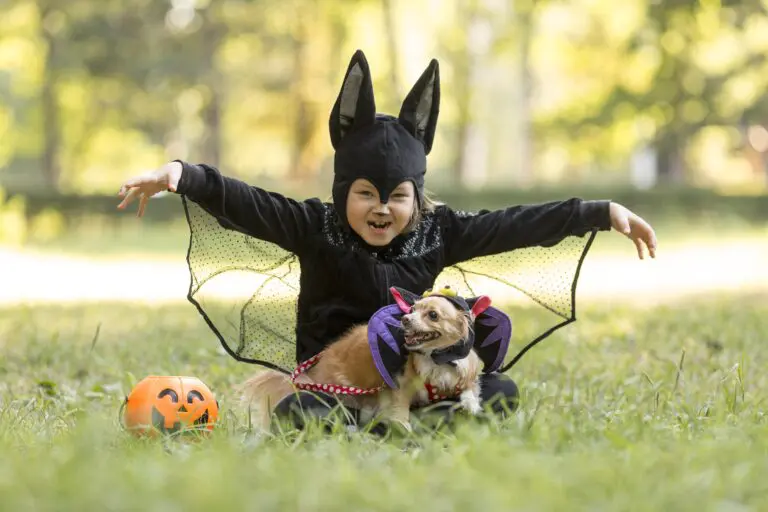 halloween cho thú cưng