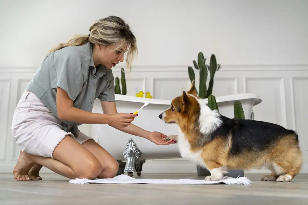 tương lai của ngành grooming
