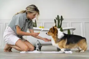 tương lai của ngành grooming