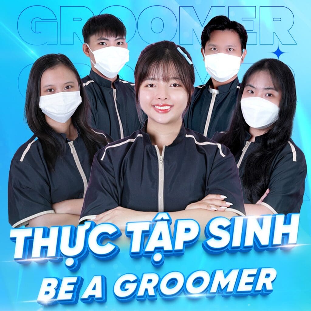 Be a Groomer Pupdy Crop