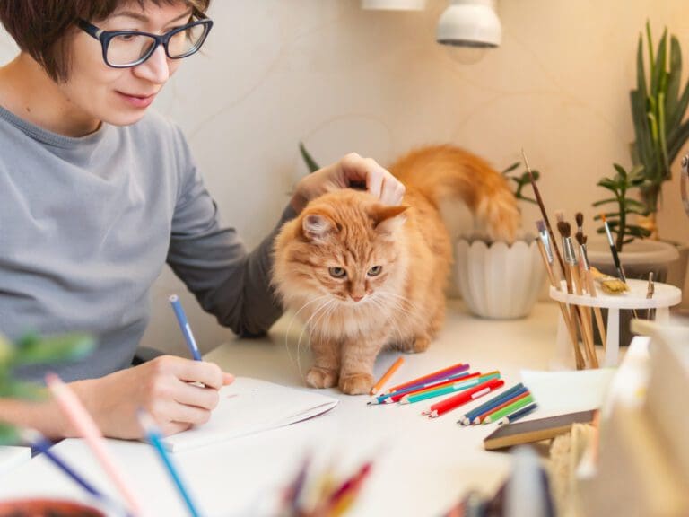 Kiên nhẫn, tình cảm vf thấu hiểu mèo con