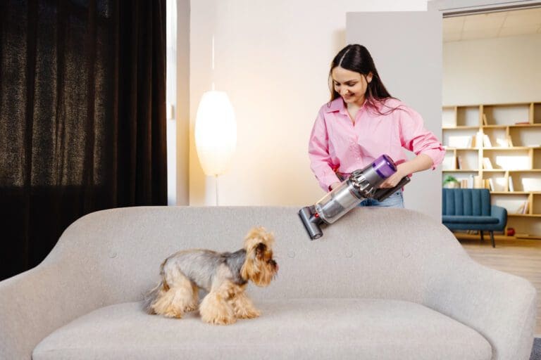 làm sạch môi trường sống bước đầu trong việc ngừa bệnh thú cưng