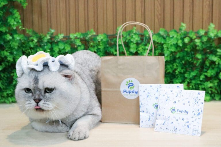 Pupdy Grooming đồng hành cùng các Boss trong hành trình làm đẹp