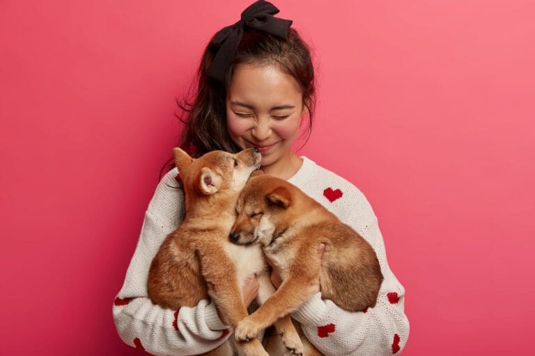 tình yêu vô điền kiện câu chuyện về mối quan hệ giữa chủ và thú cưng