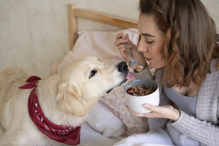 cách chọn thức ăn cho thú cưng