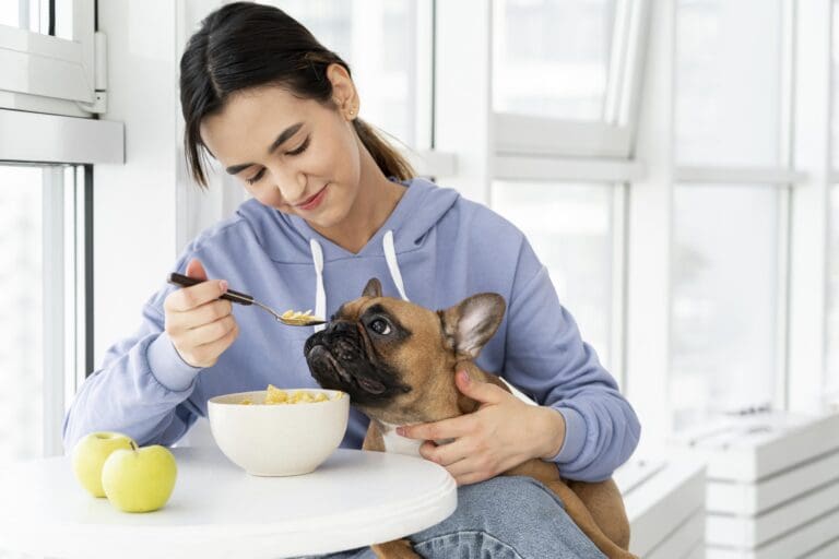 chế độ ăn chay của thú cưng