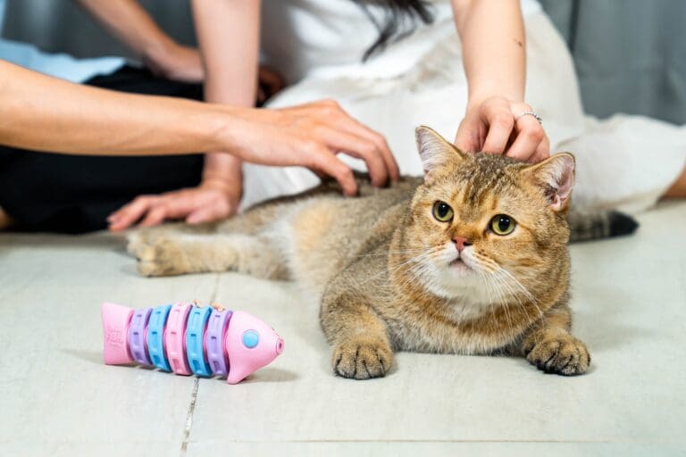 đồ chơi chứa thức ăn