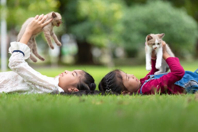 Giá Trị Cốt Lõi Thật sự Quan Trọng Trên Hành Trình Của Pupdy