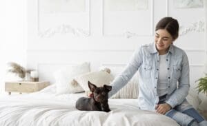 khách sạn thú cưng