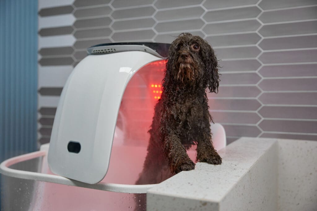 Xu Hướng Smart Grooming